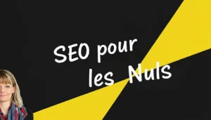 Illustration SEO pour les nuls